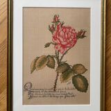 Redouté Rose Lithograph