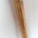 Knife handle horn Sipelia Sheffielf England