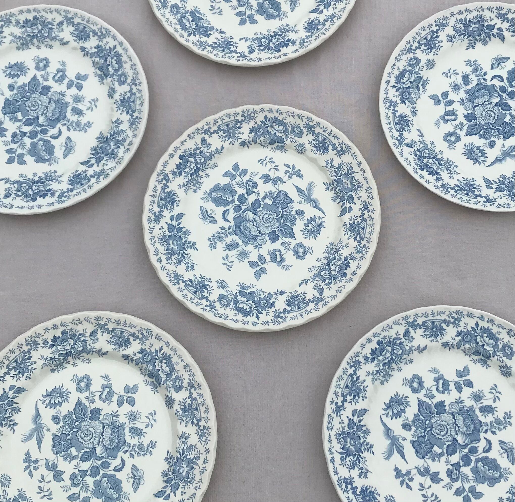 Series of 6 flat plates in English porcelain