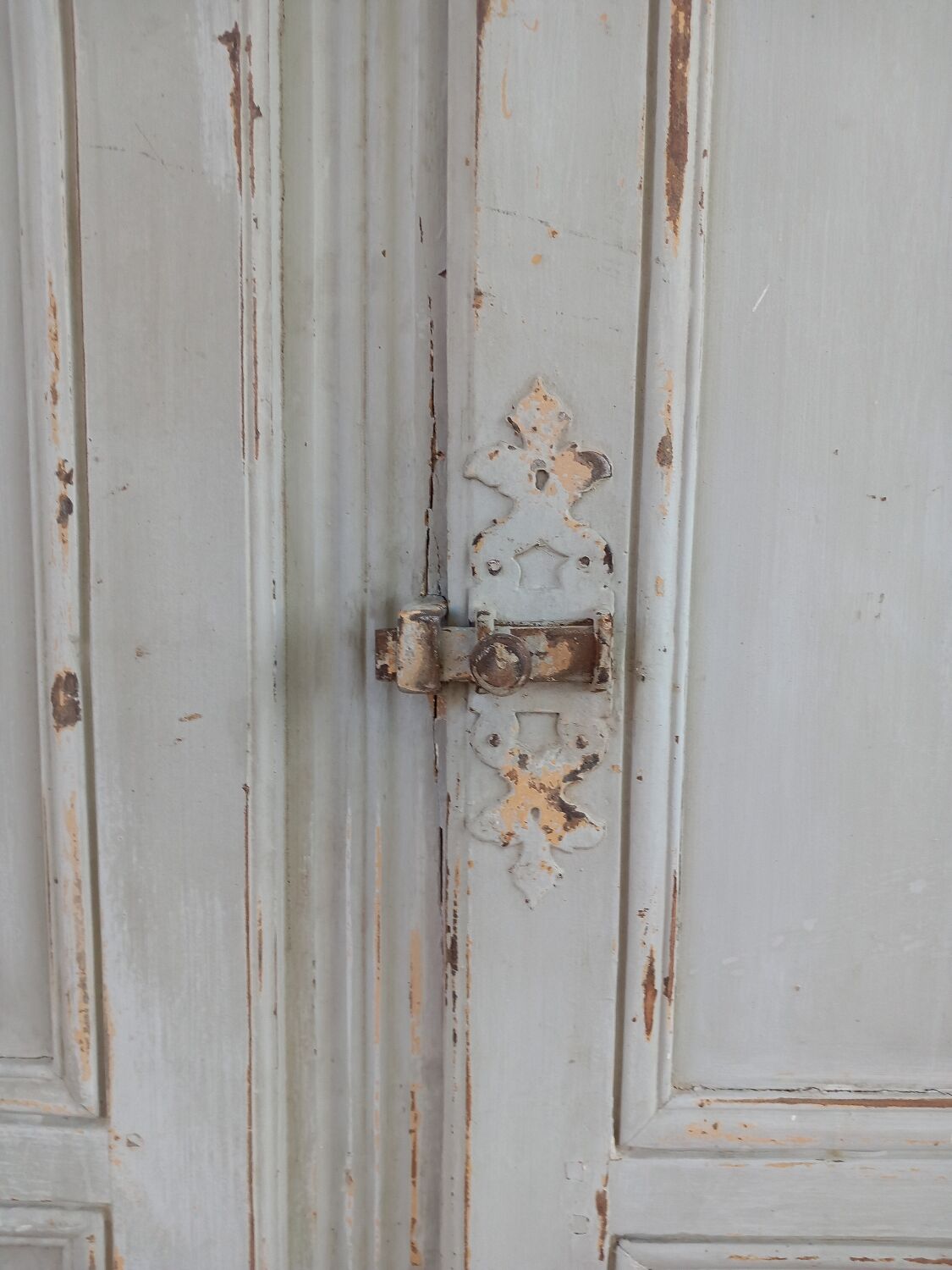 2 portes de placard anciennes en bois avec chassis