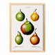 Poster about pears, based on an old engraving from 1802