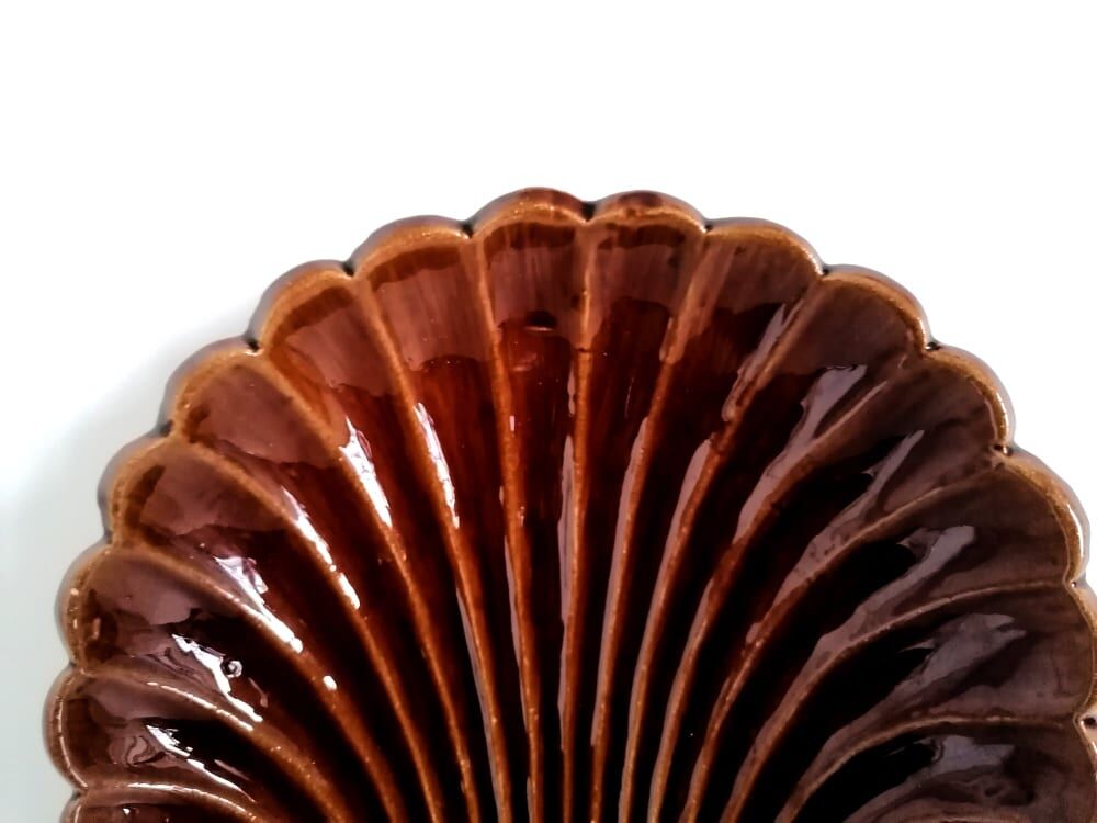 Empty pocket shell pottery sars