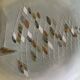 Fish plates signed Guillot - Vallauris