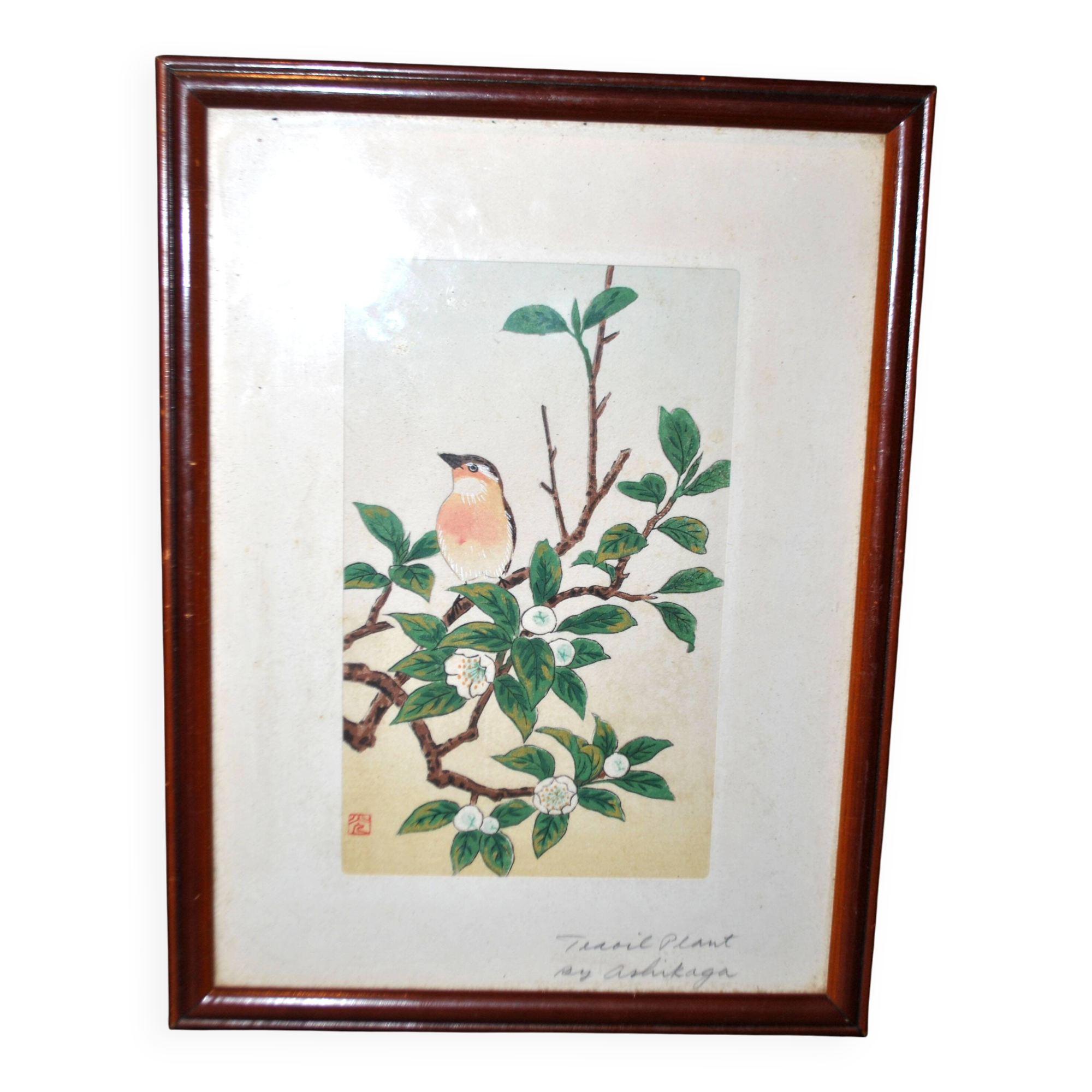 Painting enhanced engraving bird japan signed ashikaga "teaoil plant" 1950