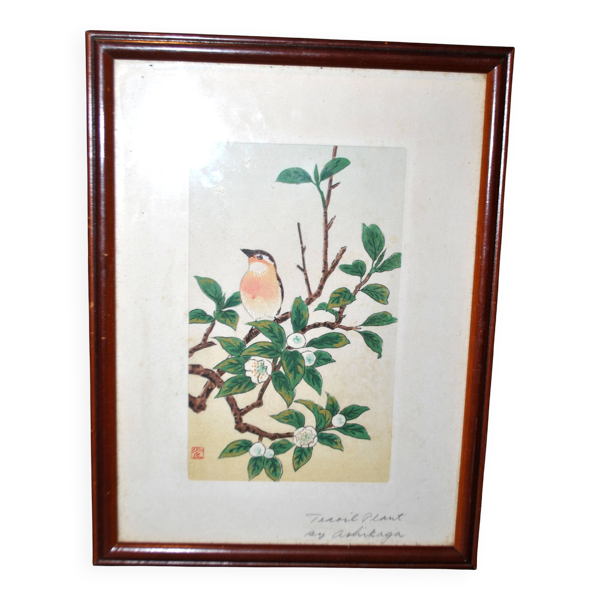 Tableau gravure rehaussée oiseau japon signé ashikaga "teaoil plant" 1950