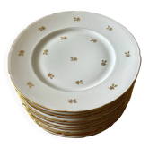 PN Lamotte porcelain plates