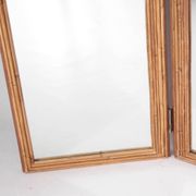 Screen "palms" in rattan and mirrors