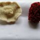 Duo of ancient corals