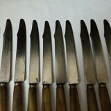 Set of 12 large knives and 11 horn and steel dessert knives