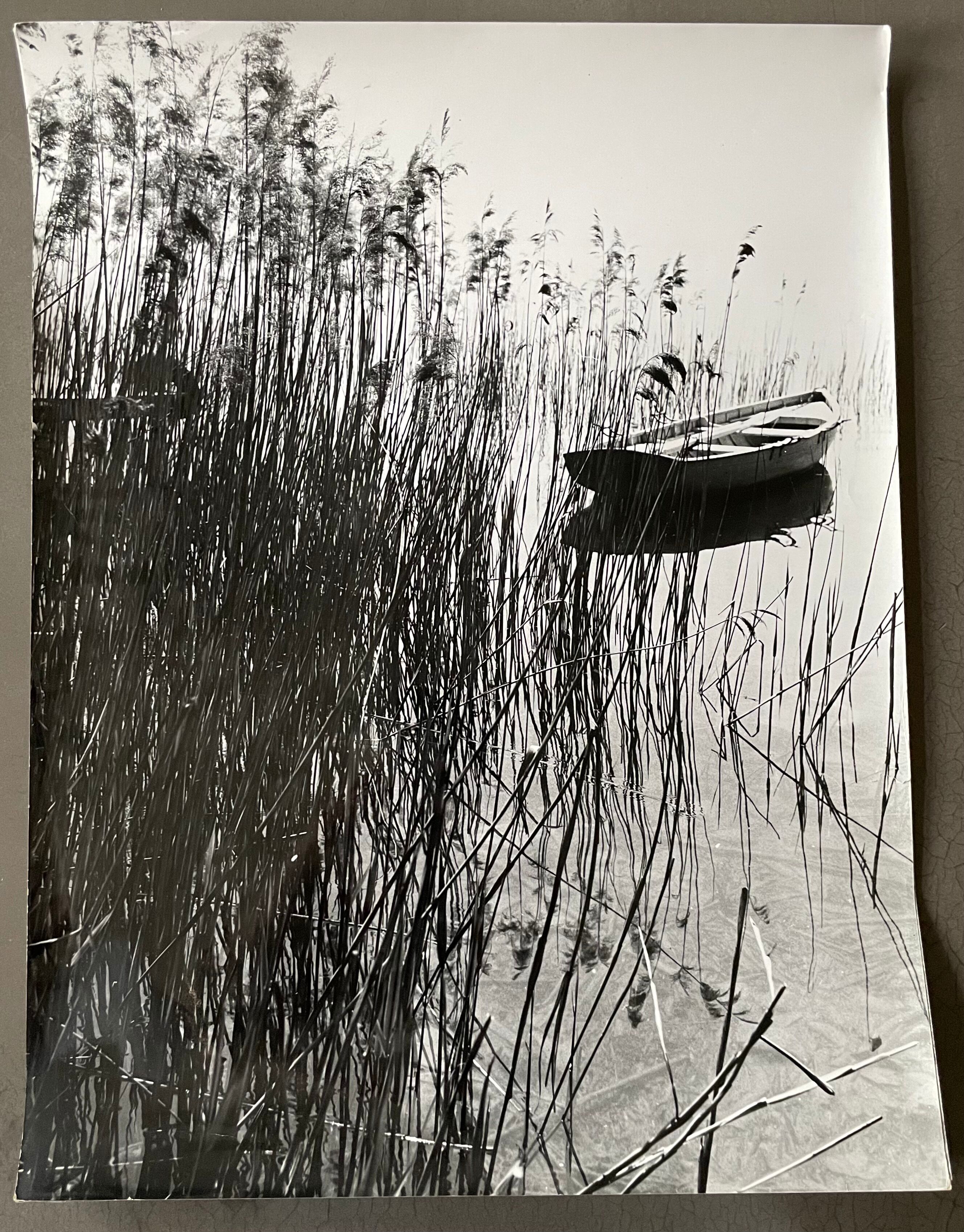 Photograph black and white silver print circa 1970 marshy landscape