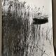 Photograph black and white silver print circa 1970 marshy landscape