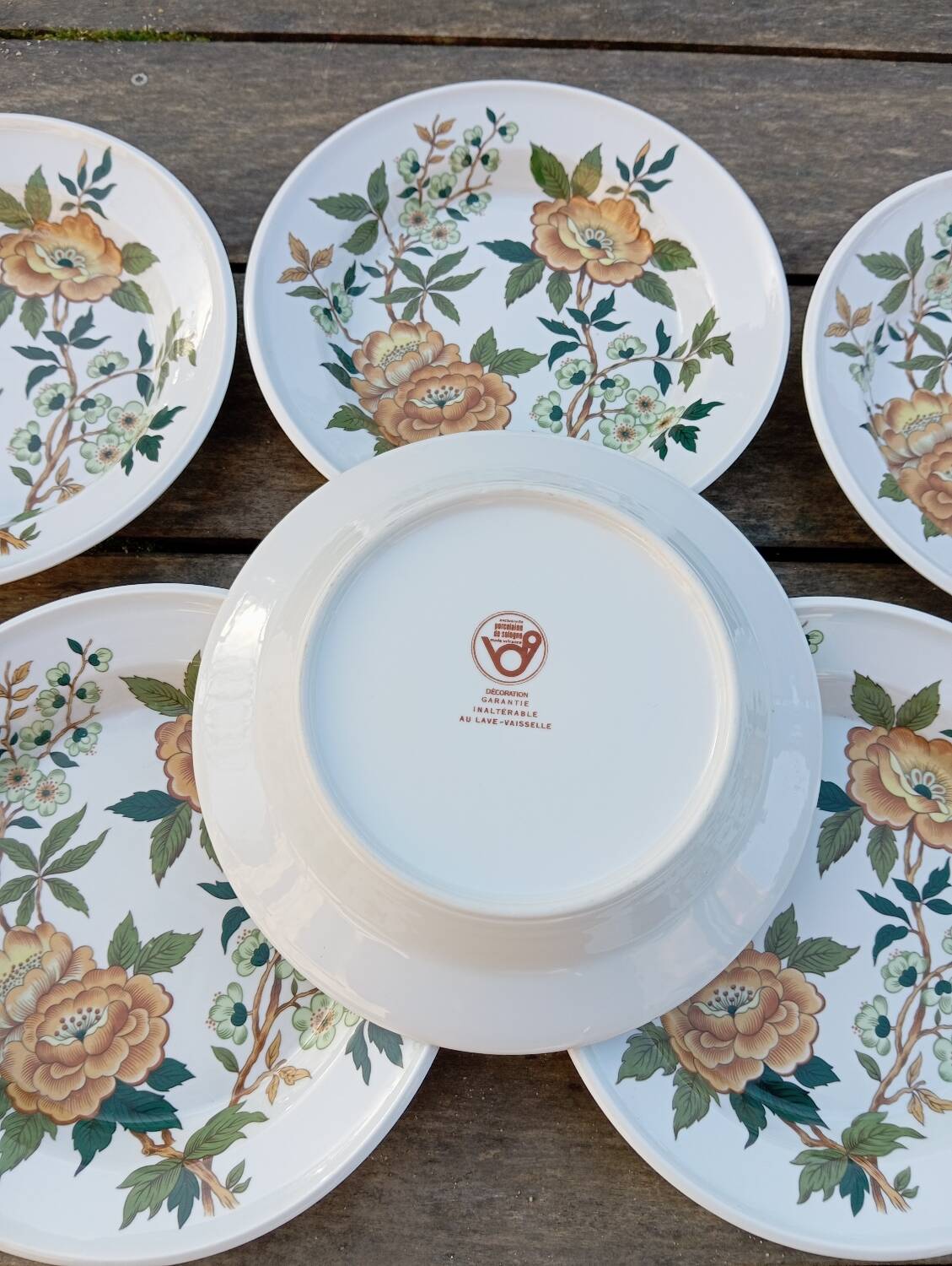 6 soup plates with orange and green flowers, Sologne porcelain, vintage