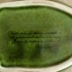 Old terrine duck Michel Caugant green ceramic