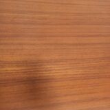 Scandinavian style table 50 year with 2 elongations