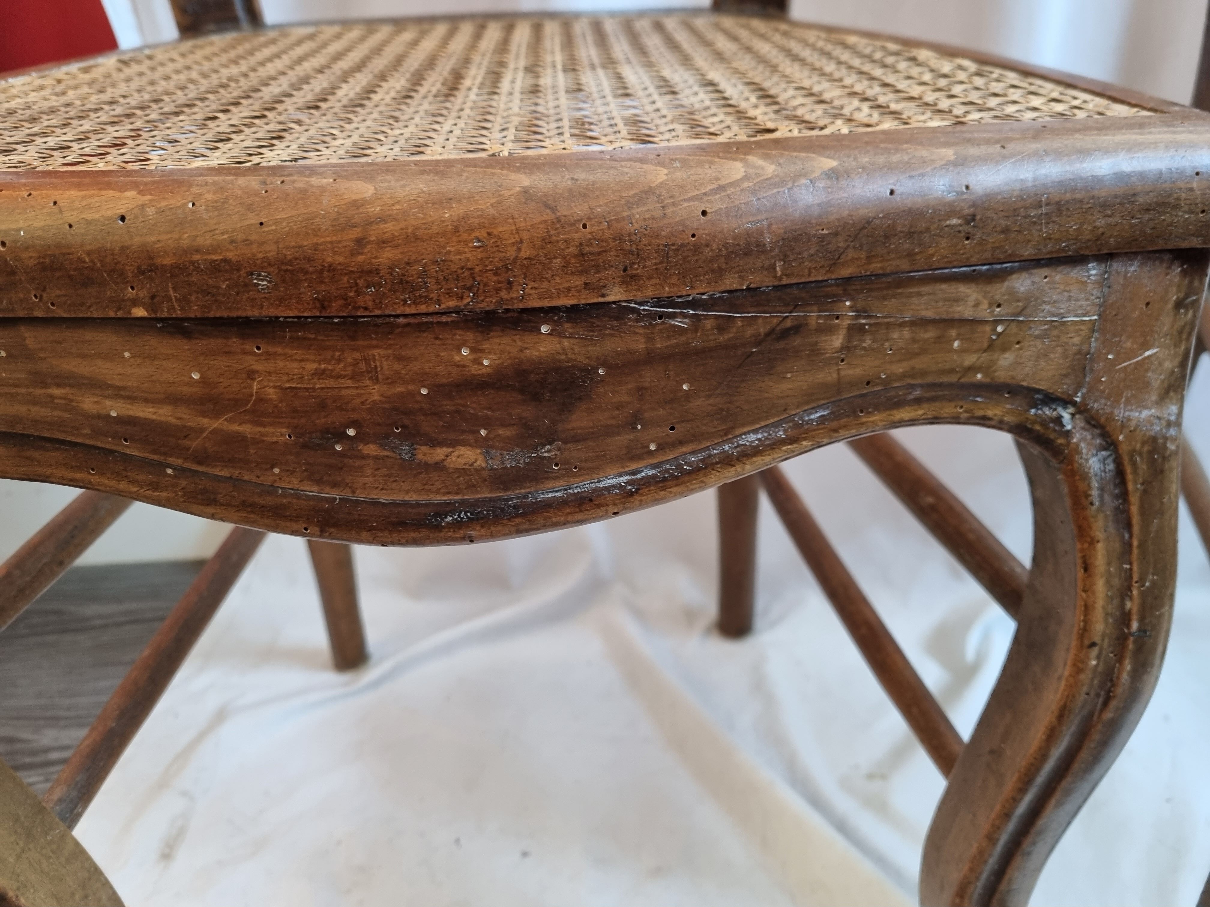 2 rattan chairs early twentieth century