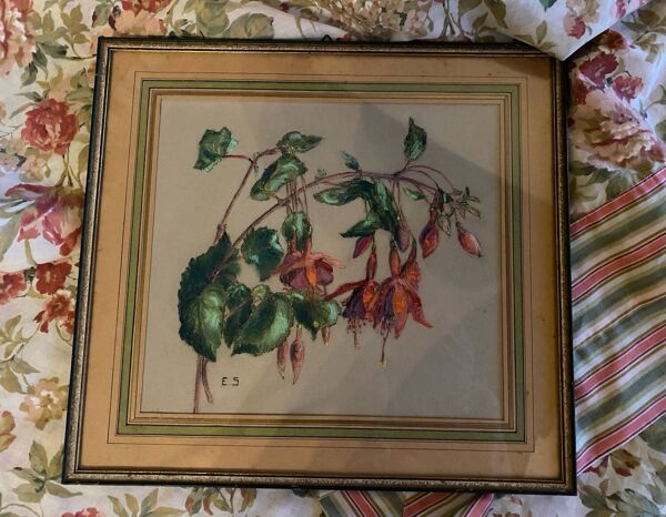 Pastel ancien Fuchsias encadré