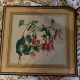 Old pastel Fuchsias framed
