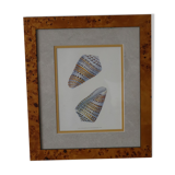Wooden frame of magnifying glass naturalistic vintage shell