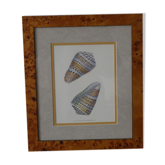 Wooden frame of magnifying glass naturalistic vintage shell