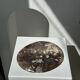 Dish in petrified wood