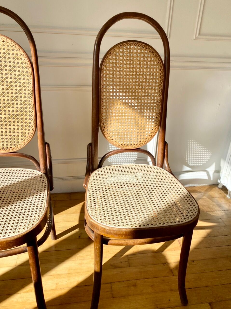 Pair of chairs Thonet 17 reissue FMG