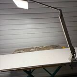 Waldmann work or desk lamp