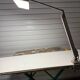 Waldmann work or desk lamp