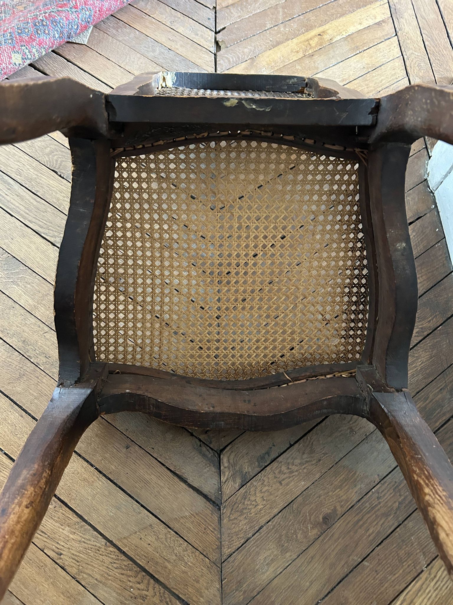 Antique Louis XV chair – molded natural wood / cane base