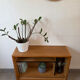 Shelf / TV unit from the 1960s