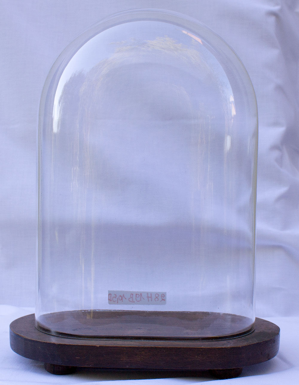 Oval glass wedding globe 28 cm high