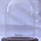 Oval glass wedding globe 28 cm high