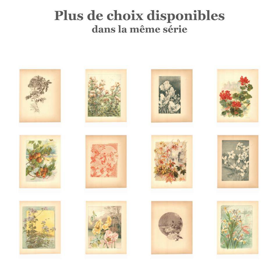 Art Nouveau engraving 1896 - Chrysanthemums and Japanese scene by G. Fraipont