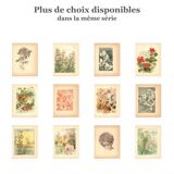 Art Nouveau engraving 1896 - Chrysanthemums and Japanese scene by G. Fraipont