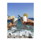 White-footed cup