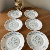Vintage forget-not dessert plates