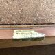 Vintage rattan cane bench chest