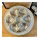 Set of 6 glass oyster plates