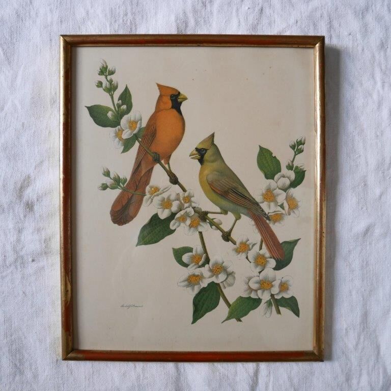 Freund bird frame