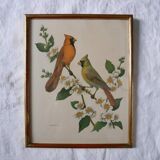 Freund bird frame