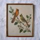 Cadre oiseaux Freund
