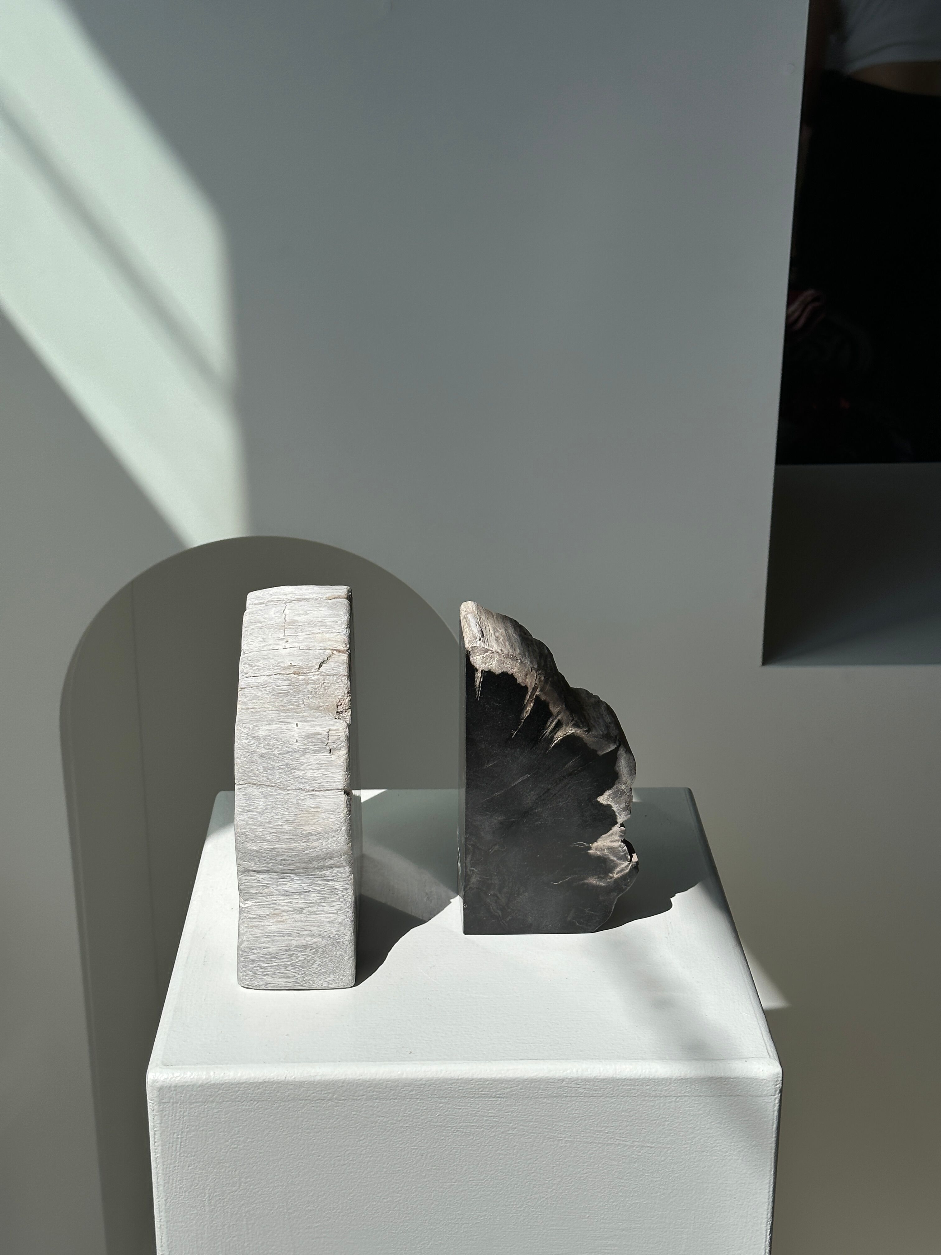 Black petrified wood bookend H17 L17 P6