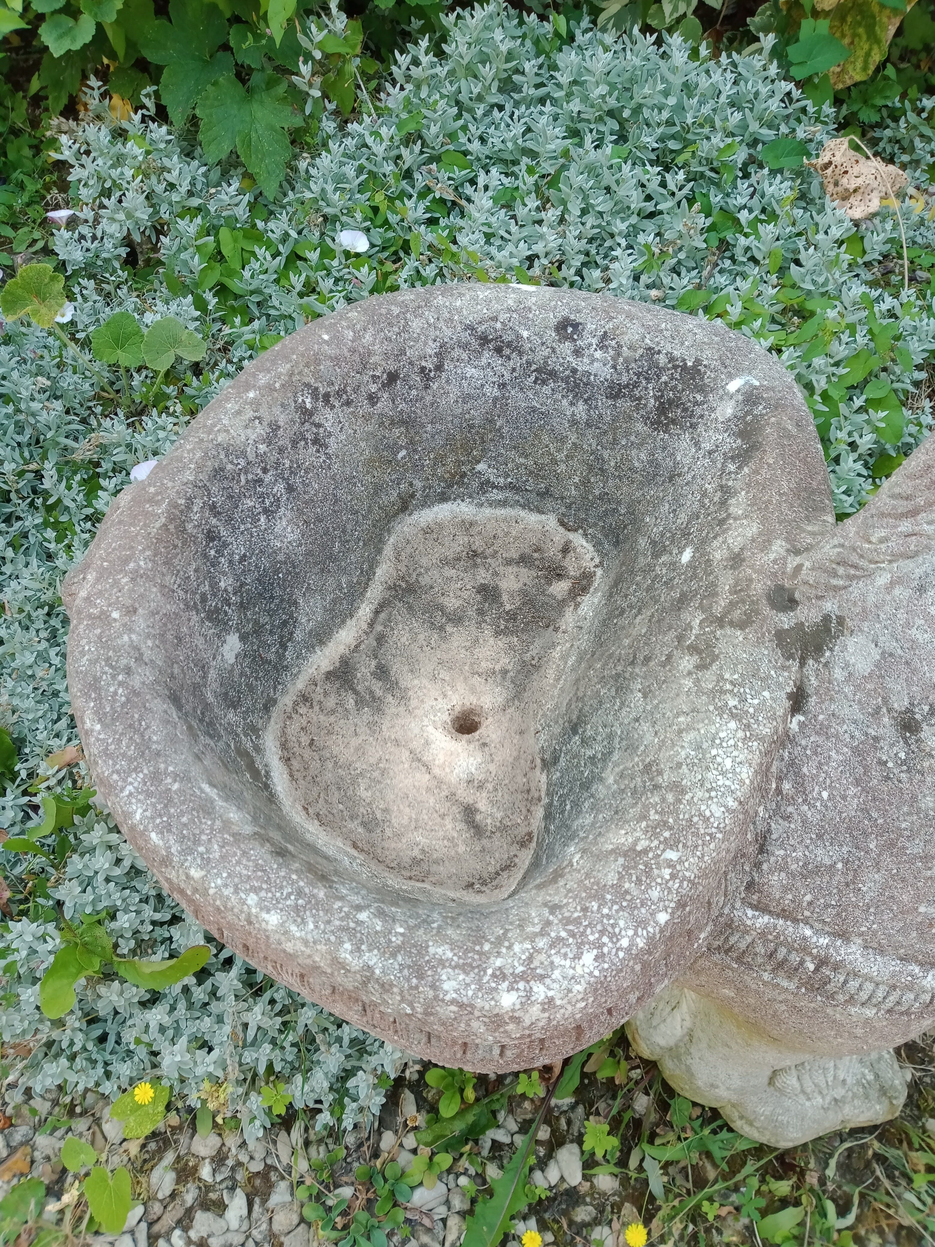 Cement donkey planter