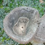 Cement donkey planter