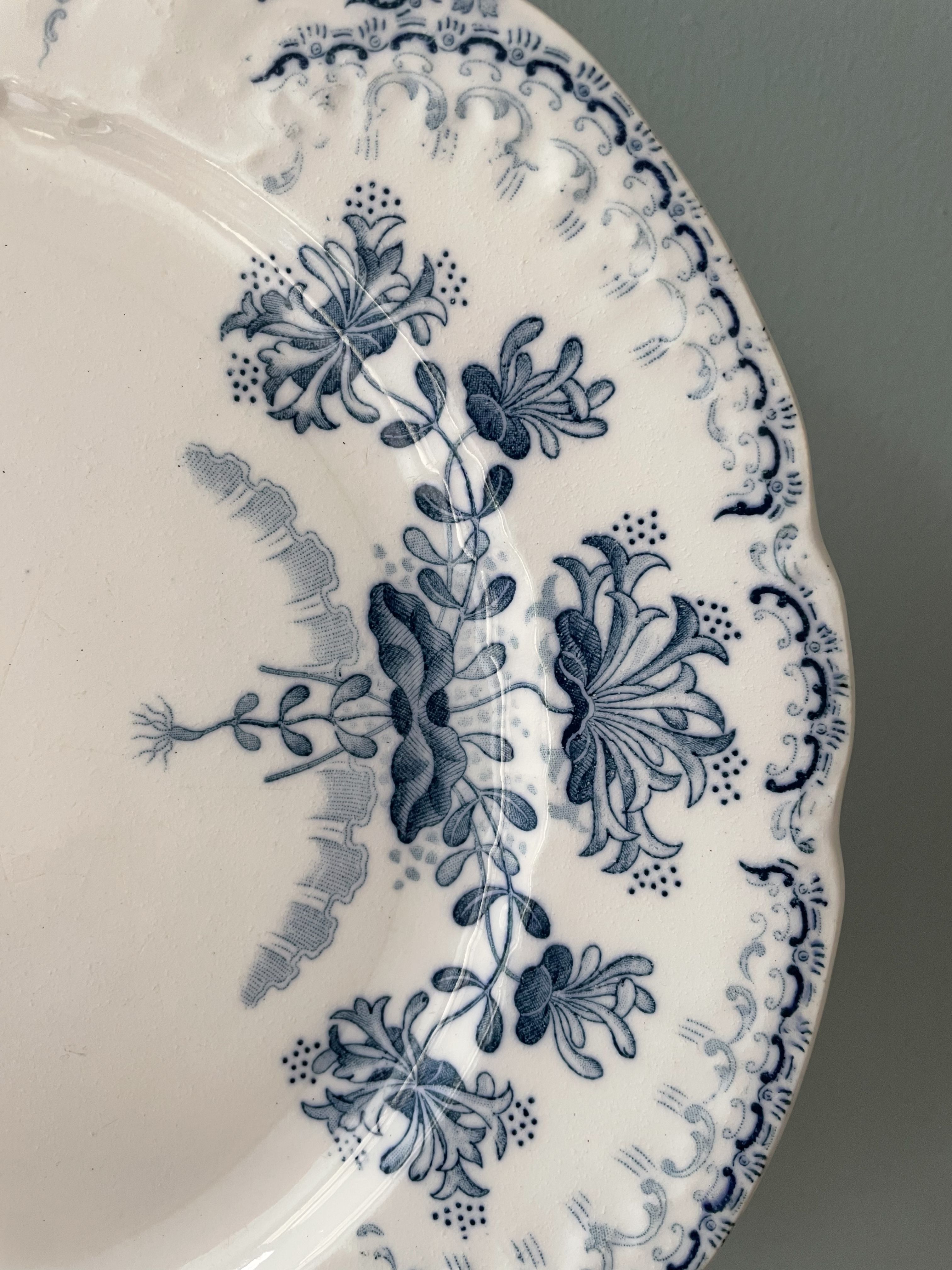Set of 5 flat plates Terre De Fer XIXth, collection "Regency" St Amand & Hamage Nord