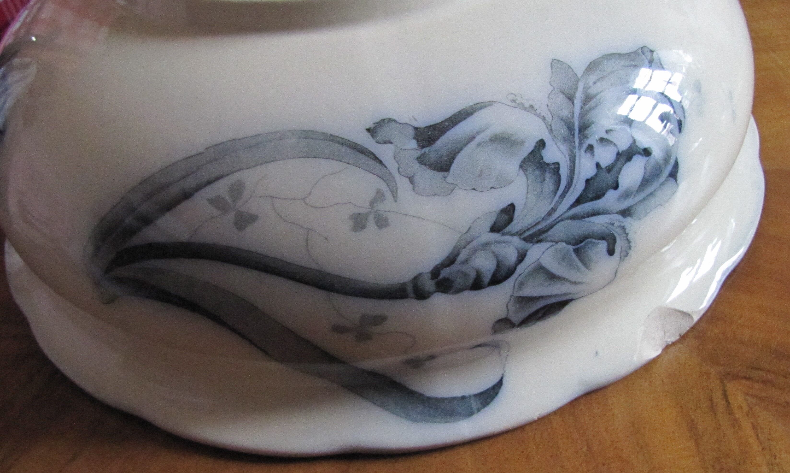 IRIS and dragonfly, beautiful!