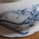 IRIS and dragonfly, beautiful!