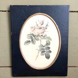 Set of three frames medallions