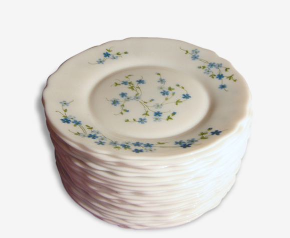 Lot De 12 Petites Assiettes Dessert Vintage Arcopal Arc France Petites Fleurs Bleues Selency Lot De 12 Petites Assiettes Dessert Vintage Arcopal Arc France Petites Fleurs Bleues Selency