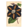Vintage illustration - Clematis - Botanical engraving 1871 - old flower