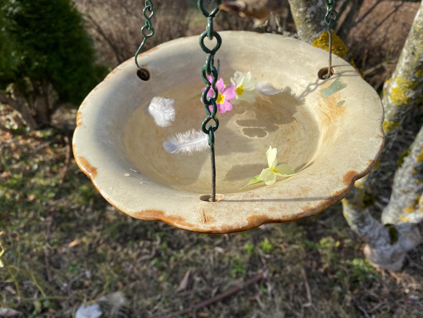 Drinking trough or floral cup in slurry